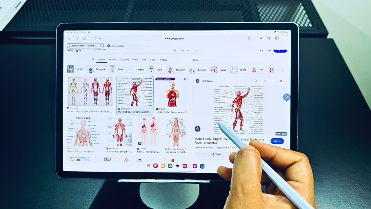 Samsung Galaxy Tab S10 Lite being used with the S Pen to study human anatomy diagrams