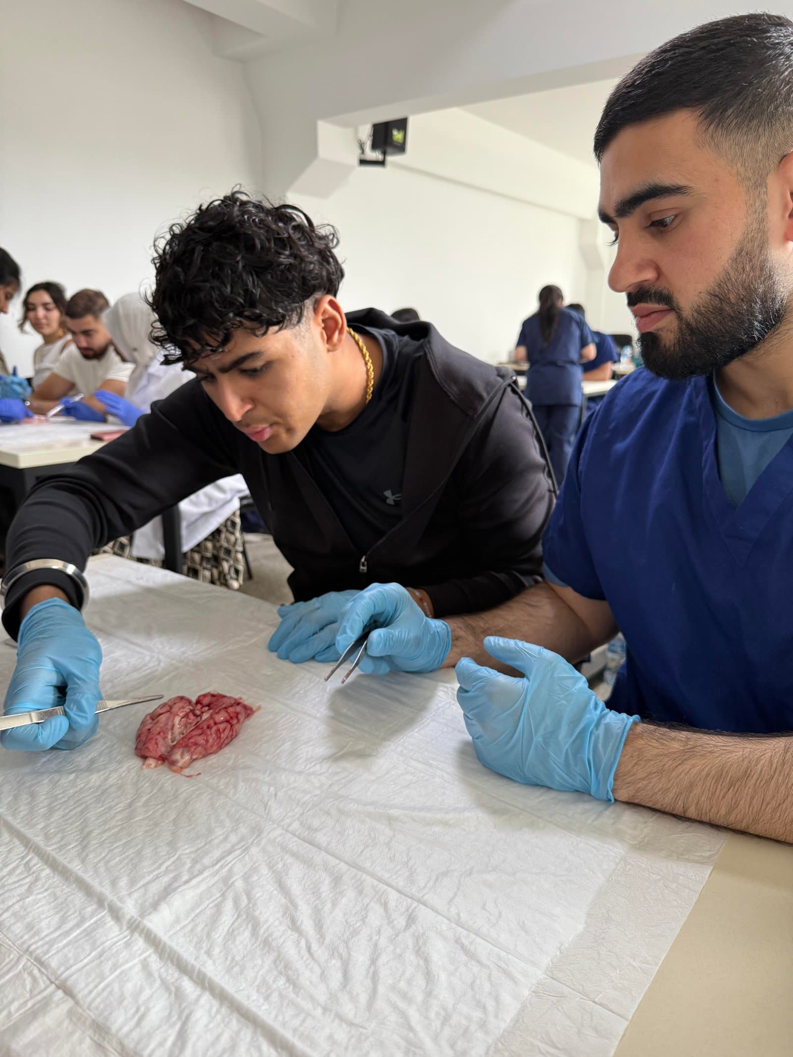 ABHA hands-on clinical workshop